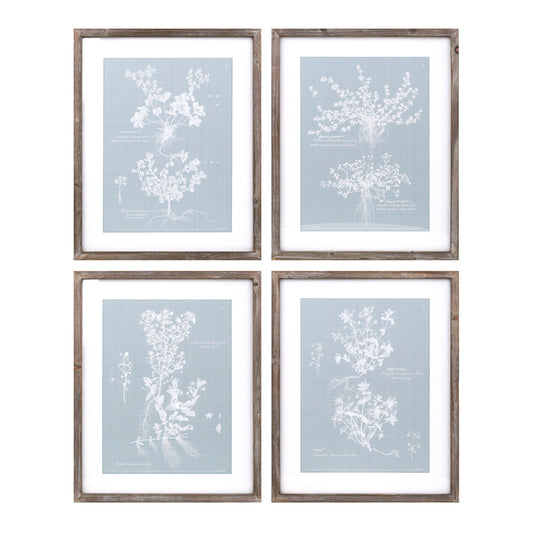 Floral Framed Prints (Set of 4)